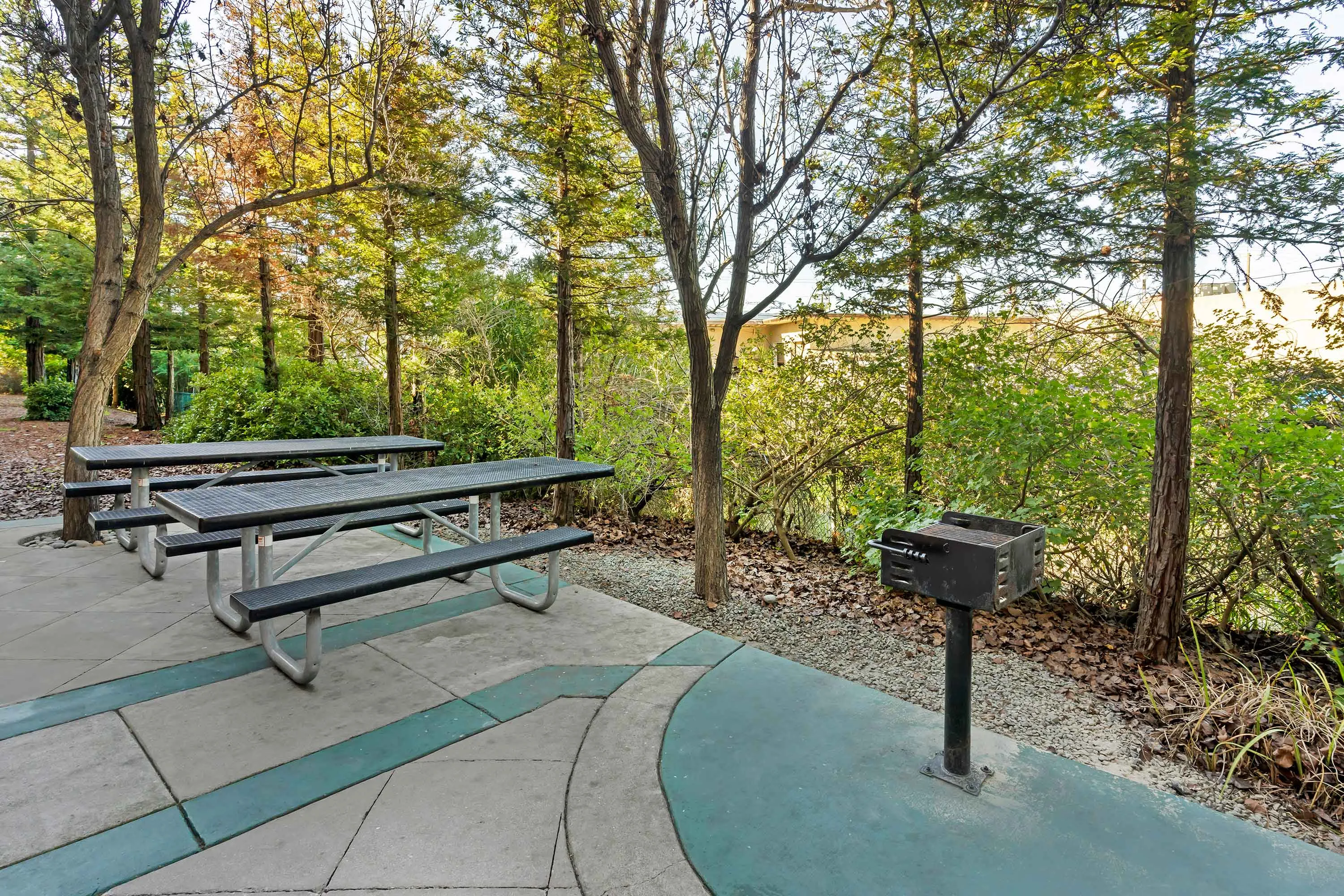 Picnic Area